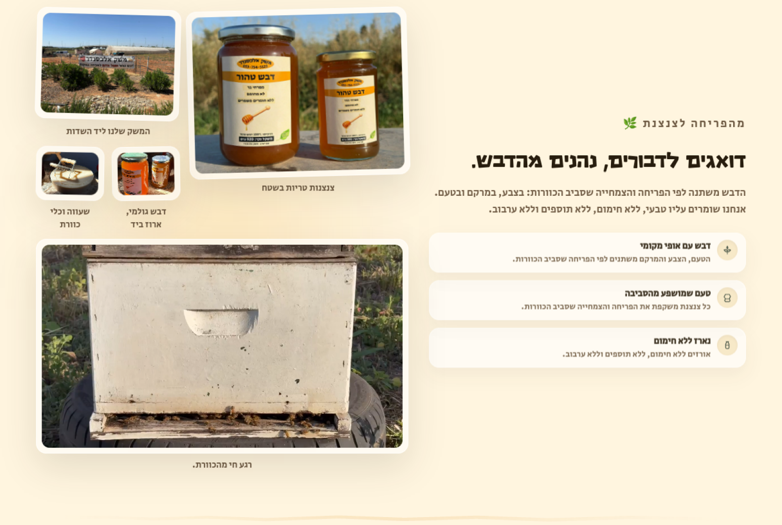 בית חם ומודרני ברשת